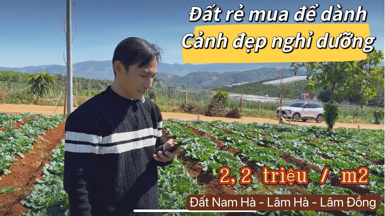 Đất rẻ đầu tư ngoại ô Đà Lạt, giá chỉ 2,2 triệu/ m2