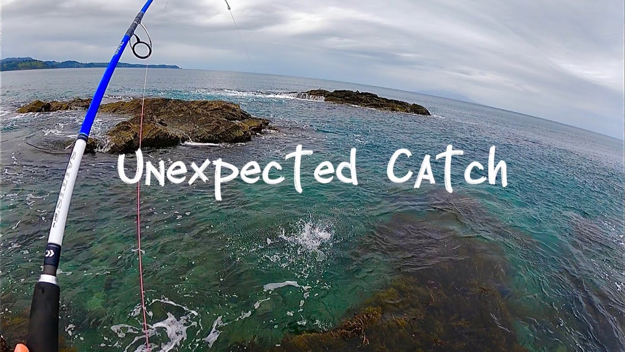 Unexpected Catch - Landbased Fishing New Zealand 