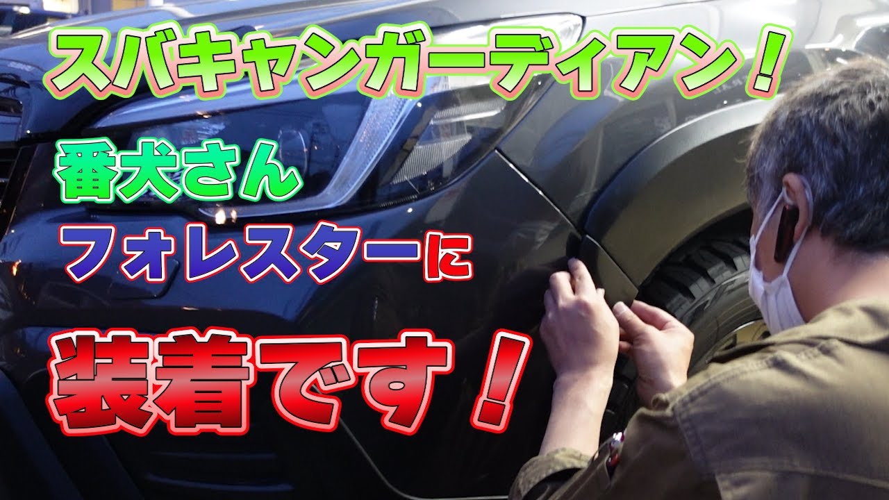 番犬様フォレスターにスバキャンガーディアン装着レビュー！DIYにも使える内容をご参考下さい。楽しく確実に作業しました♪♪ ＃スバキャン ＃フォレスター ＃SUBARU ＃スバル