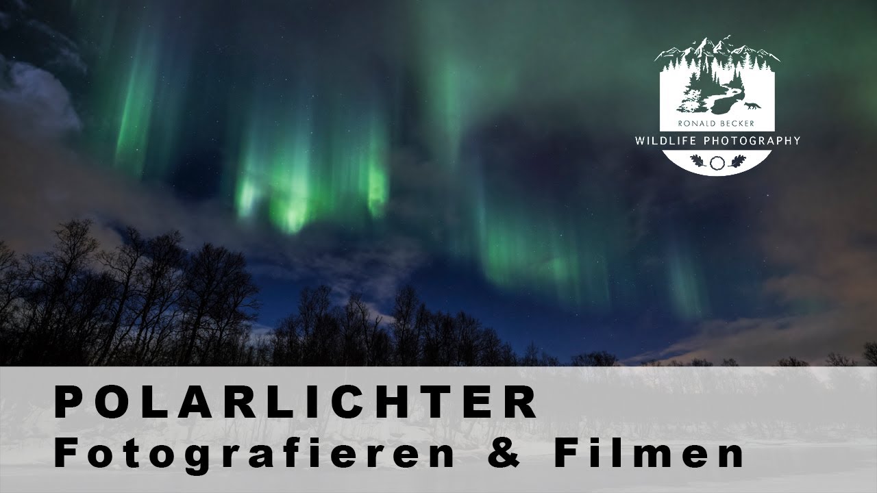 POLARLICHTER fotografieren und filmen 4K