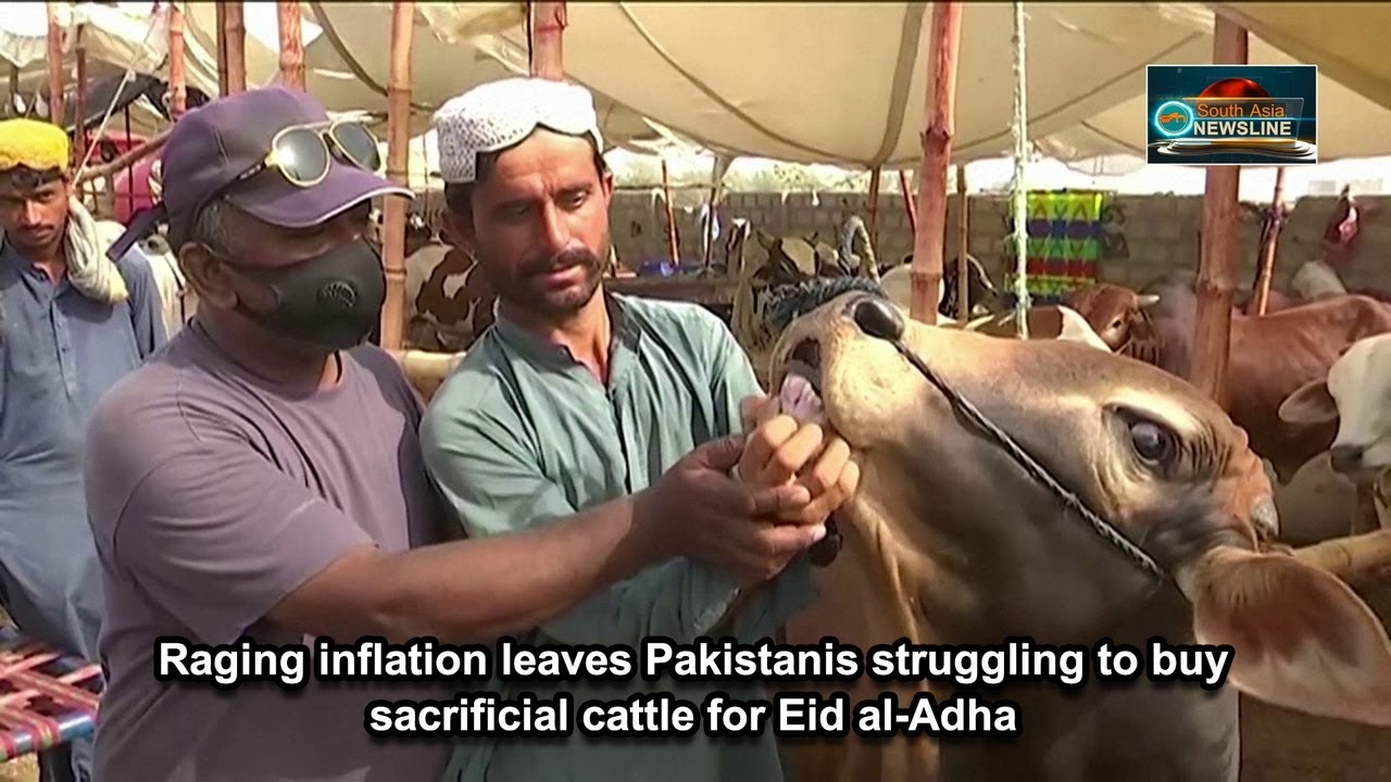Raging inflation leaves Pakistanis struggling to buy sacrificial cattle for Eid al-Adha