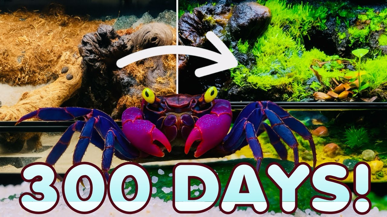 300 DAY ECOSYSTEM SIMULATION!