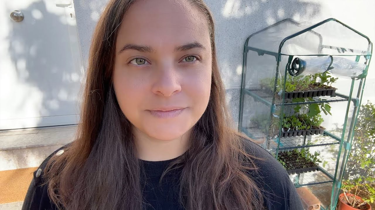 primeros cultivos de otoño en la huerta y experimento con zanahorias desde semilla