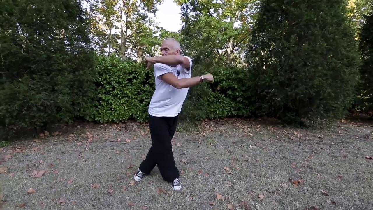 Qi Gong SHI ER FA avec paroles