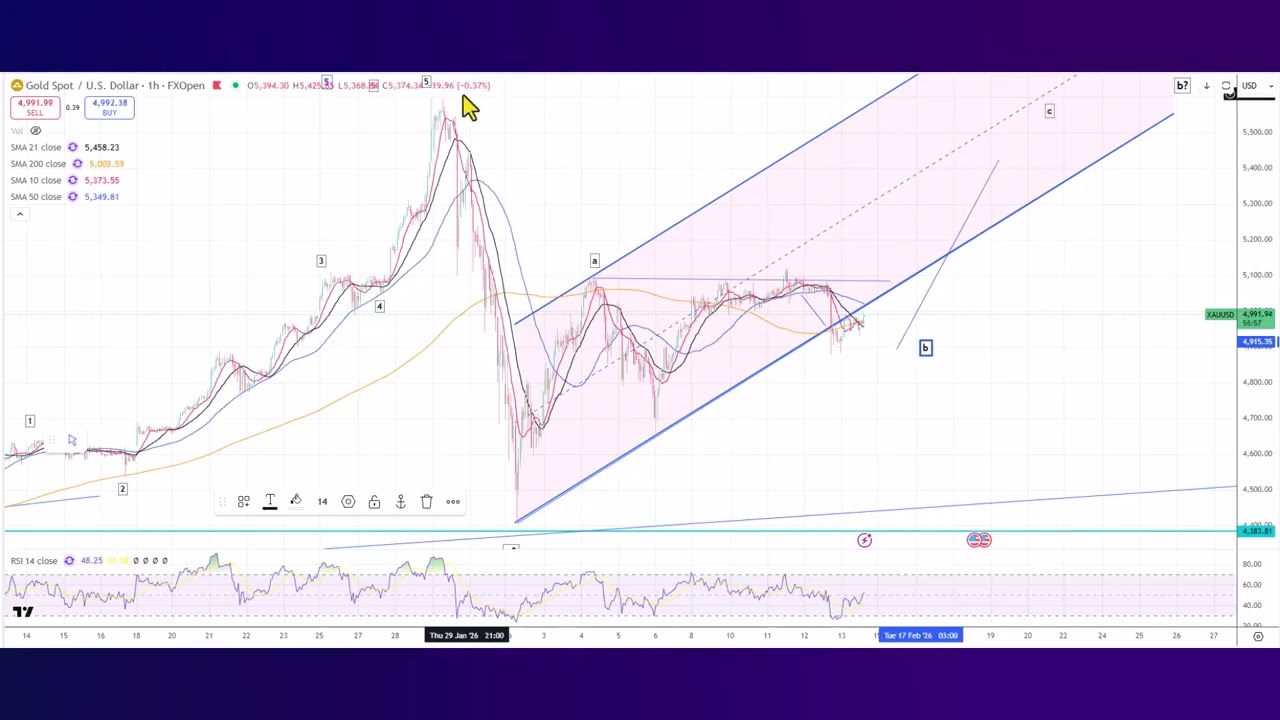 Elliott Wave Analysis of Gold and Silver as of 13th February 2026
