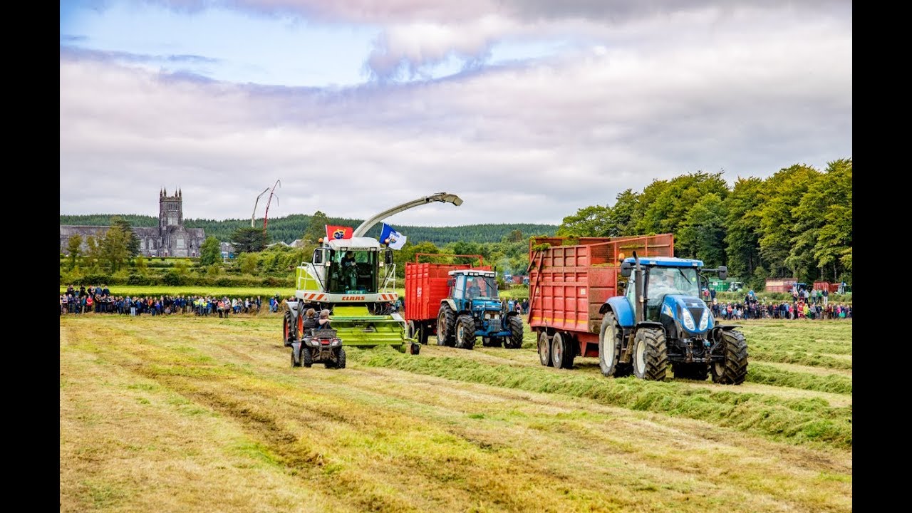 42-woman crew: Silage world record attempt in Co. Waterford (2017)