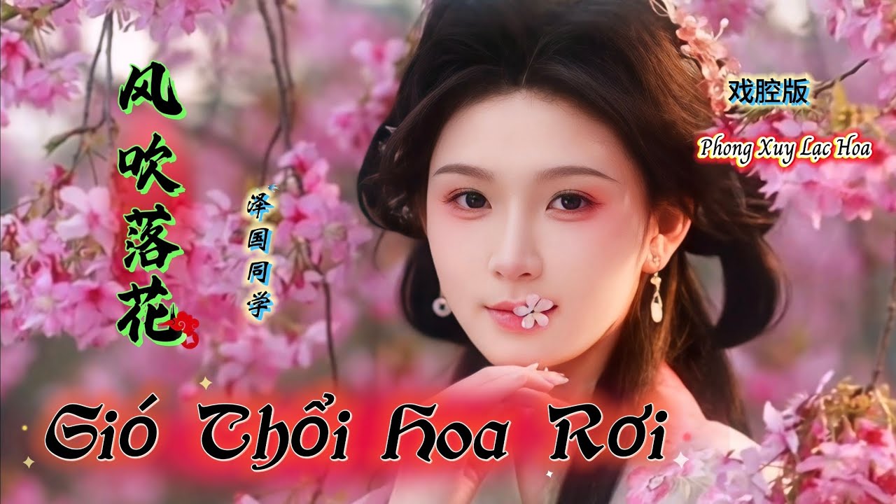 风吹落花 Gió Thổi Hoa Rơi - Trạch Quốc Đồng Học (戏腔版) 泽国同学 Hot Tiktok Douyin 2025