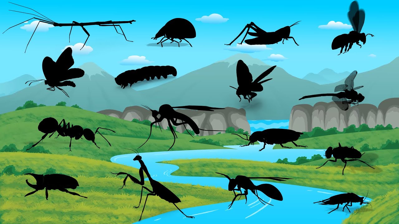 Que inseto é esse? Ache as Sombras Escondidas dos Insetos! 🦗 (Jogo Surpresa!)