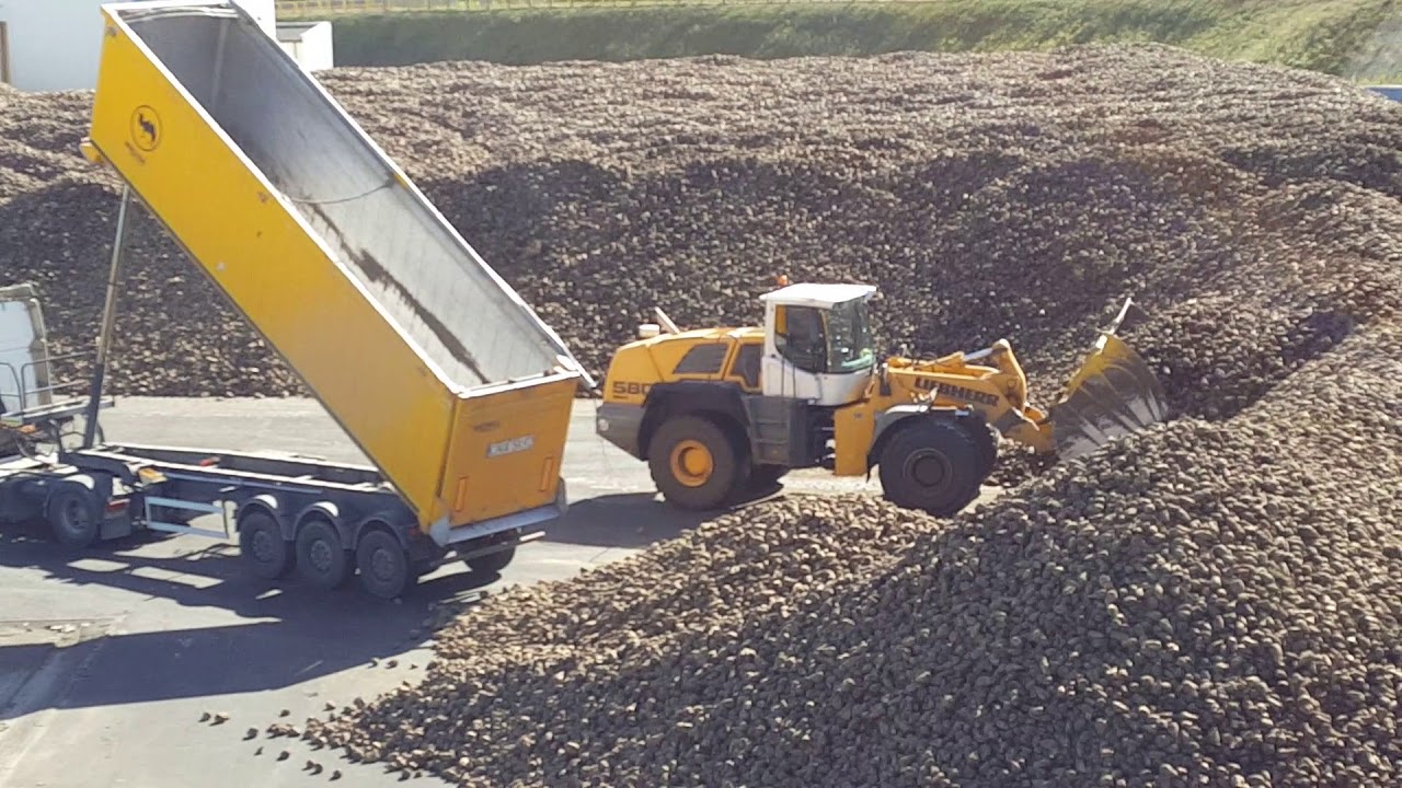 Kampania Buraczana 2018 - Cukrownia Nakło