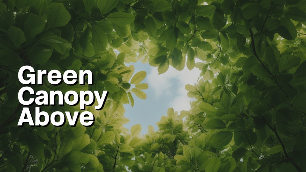Nature Cinematography: Filming Stunning Landscapes with only an iPhone