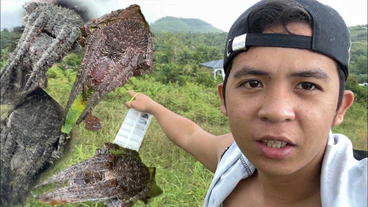GRABE MALALAKING GAGAMBA ANG NAKITA NAMIN SA BUNDOK,NAABUTAN PA KAMI NG ULAN