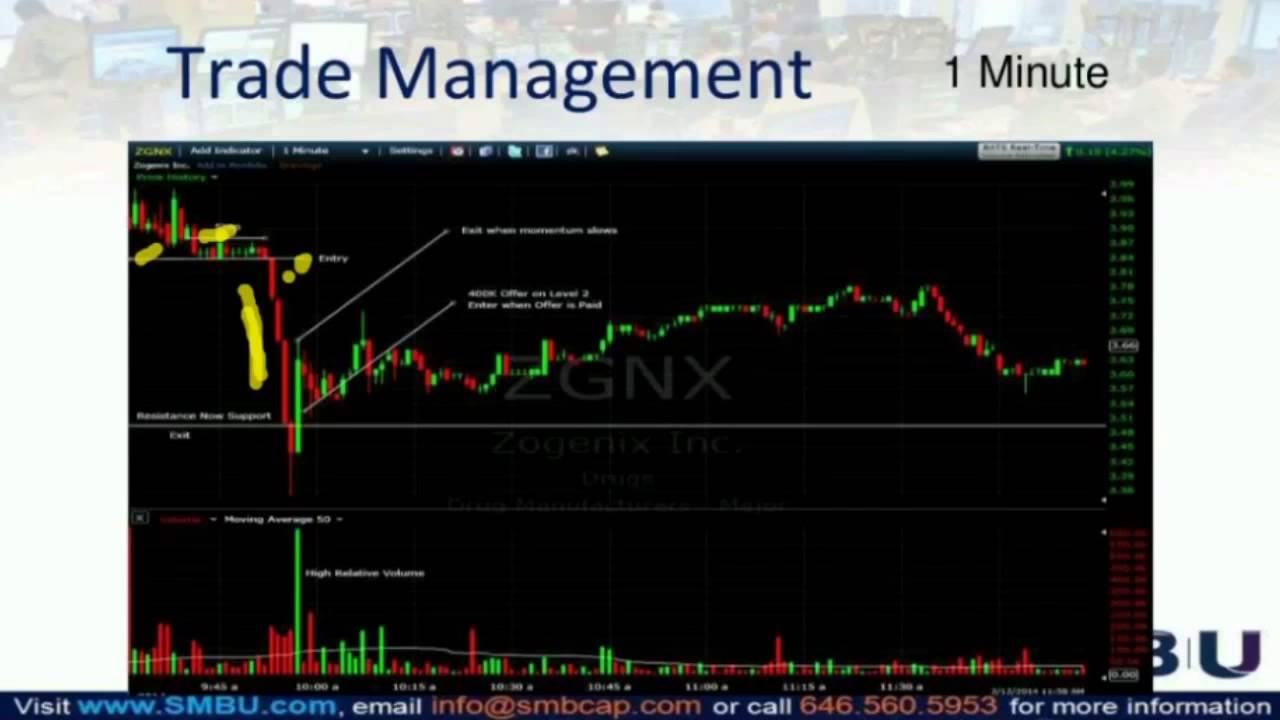 SMB U - PlayBook Checkup $ZGNX