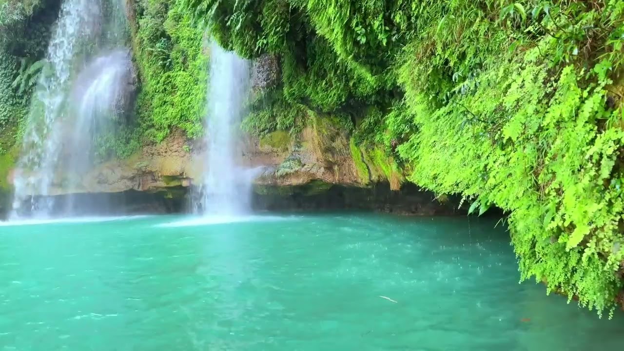 Deep sleep and relaxation with gentle stream sounds and distant bird songs in a peaceful space