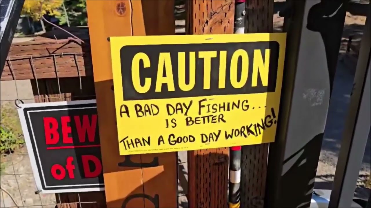 Halloween Decorations 2024