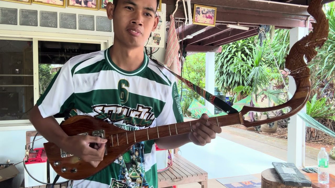 บรรเลงพิณ เพลง ดอกหญ้าในป่าปูน ขออนุญาติต้นฉบับเด้อครับ ศิลปิน ต่าย อรทัย