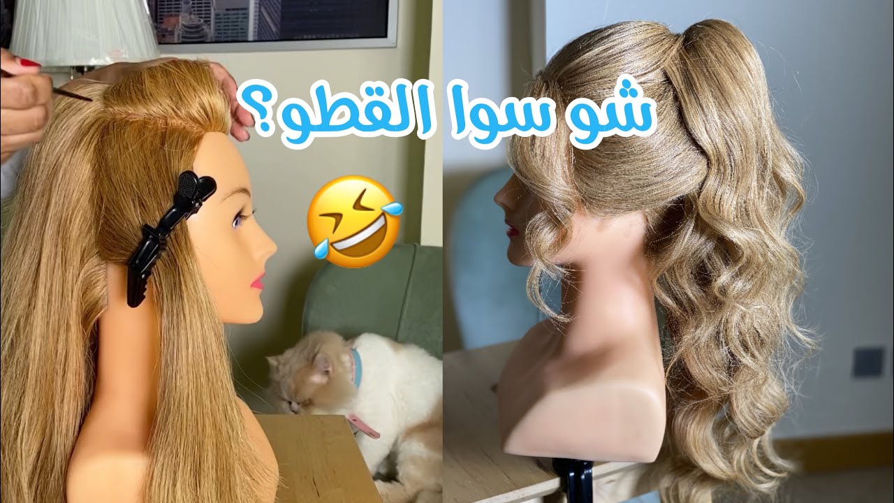My cat had to be there to do with me the hairstyle - القطو مالي كان لازم يدخل في تسريحتي