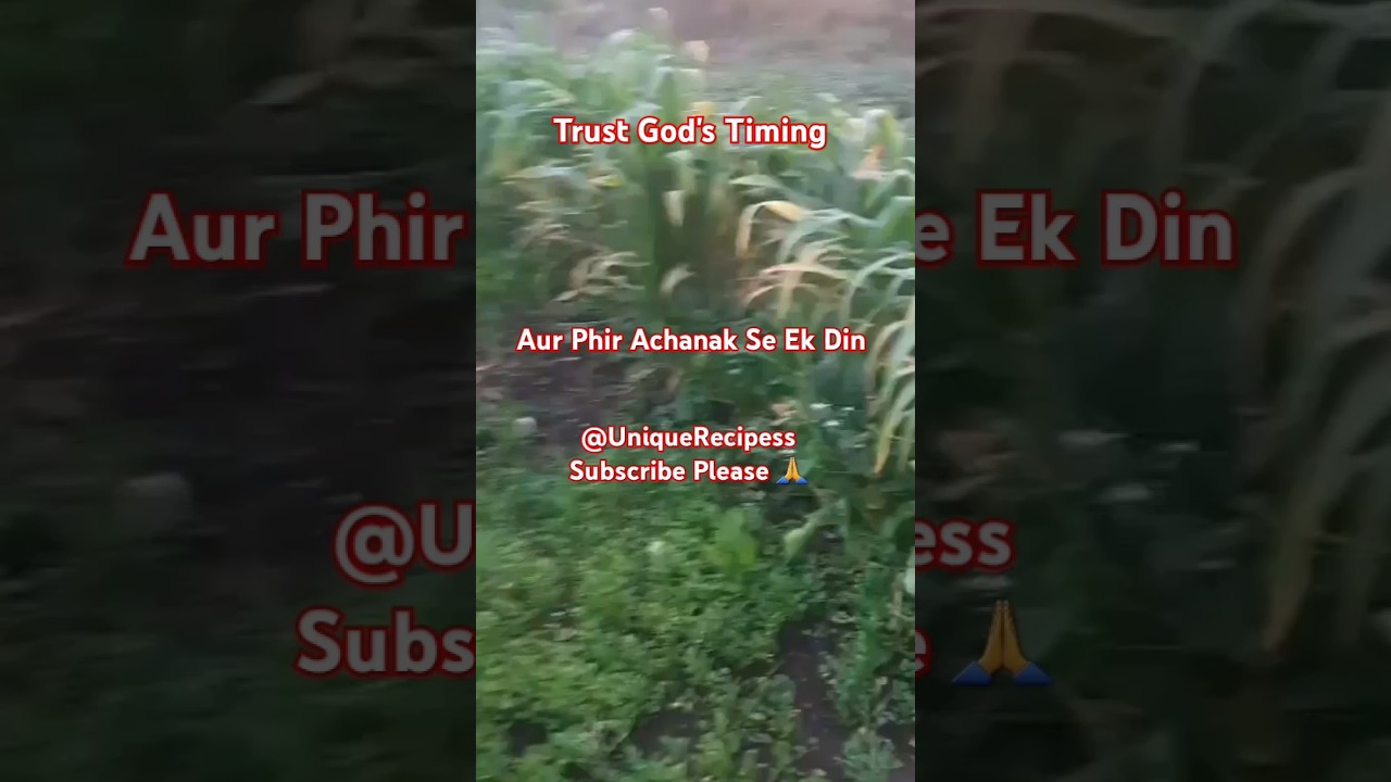 Trust God's timing✨ | 