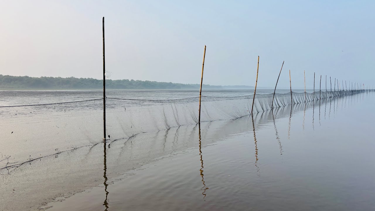 रात्रीच्या जाराला (भरती) भेटल मिक्स म्हावर कोळंबी,कोत,बोय,बड्ड...?वाणे मासेमारी Fishing#aagrikoli 