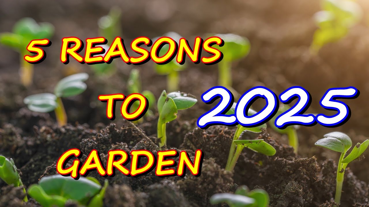 5 Excellent Reasons to Start Your Garden RIGHT NOW!