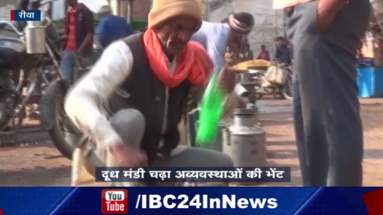 Rewa News MP: अव्यवस्थाओं की भेंट चढ़ा दूध मंडी