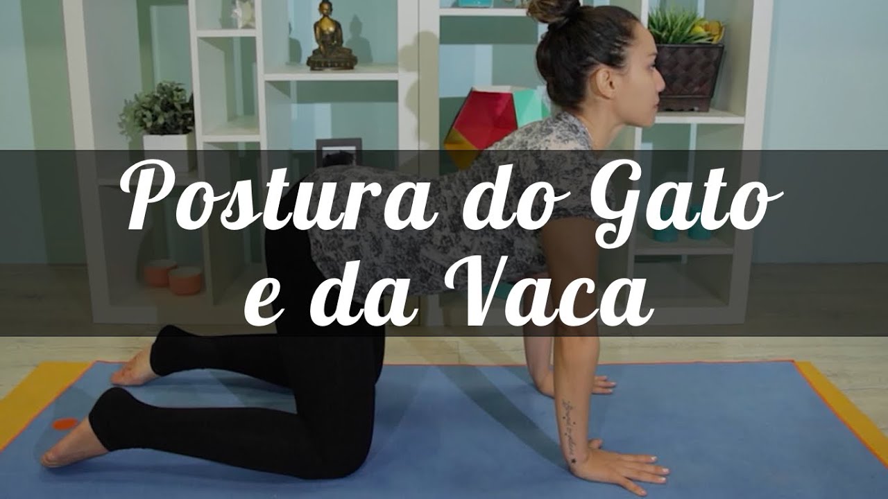 Postura do gato e da vaca - Tutorial - Pri Leite