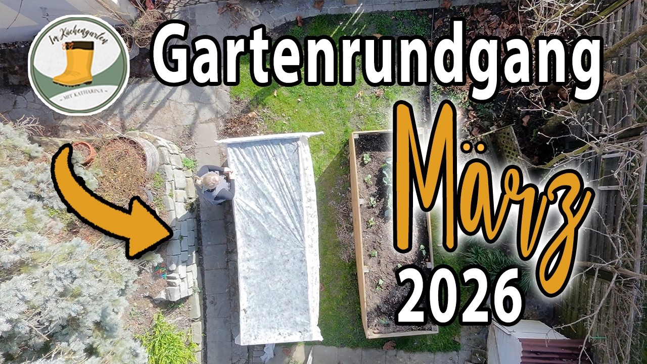 🌿🫛 Der erste Gartenrundgang in diesem Jahr | Schon vieles zu sehen | Mit Auspflanztipps 💡