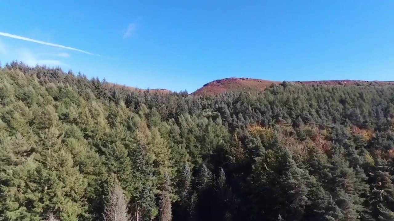 Complete Fisher Forum Autumn Social - Ladybower Fisheries