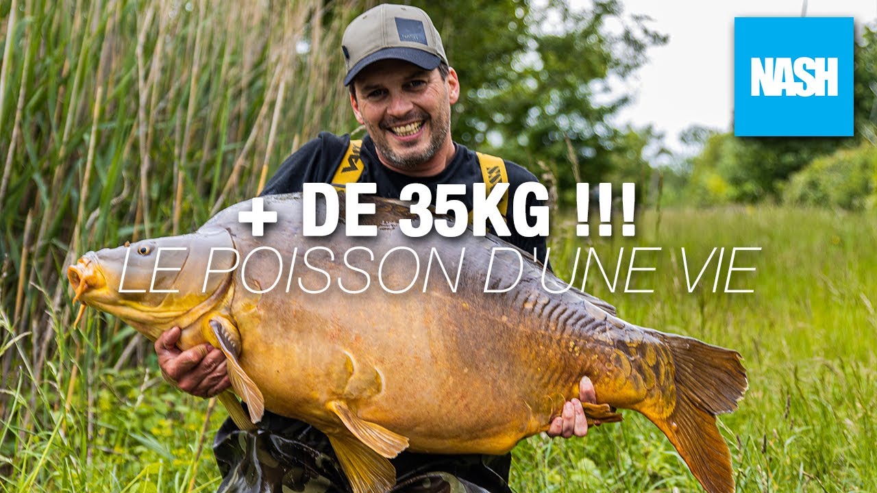 + de 35kg dans le domaine public !!! Le poisson d'une vie... 🐋👀