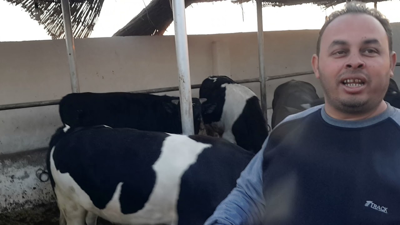 معا لتنمية الثروة  الحيوانية  حلقة 7 (جزء1 مع الحاج سيد الشرقاوى الجزار)