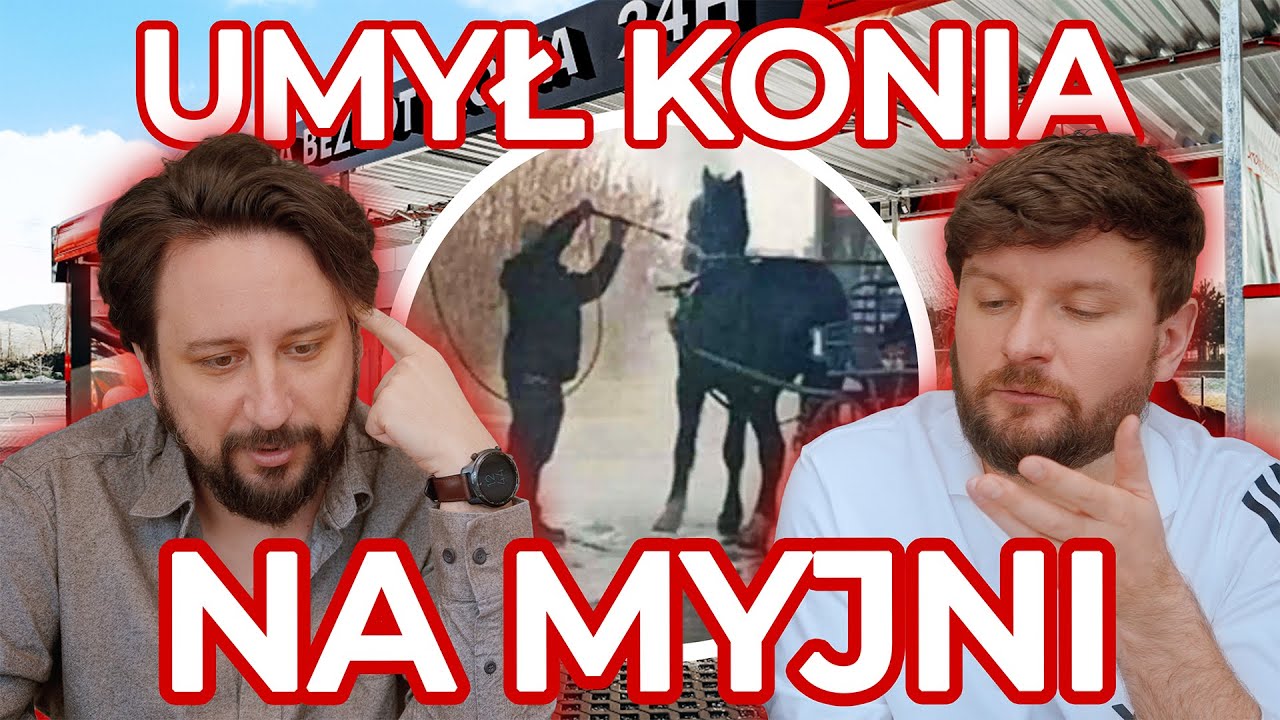 Koń zwalony