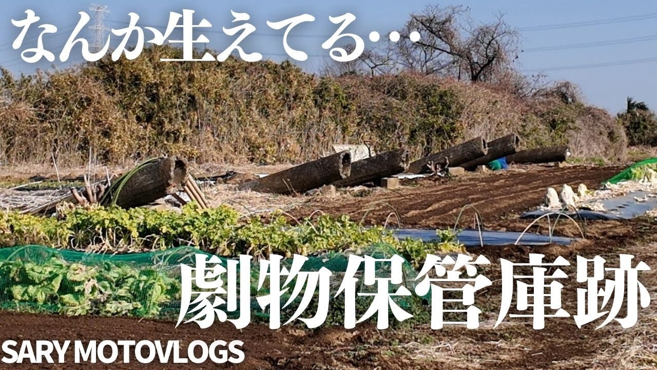 【奇妙な遺構】畑から生えた珍妙なヒューム管と劇物保管庫跡　柏市