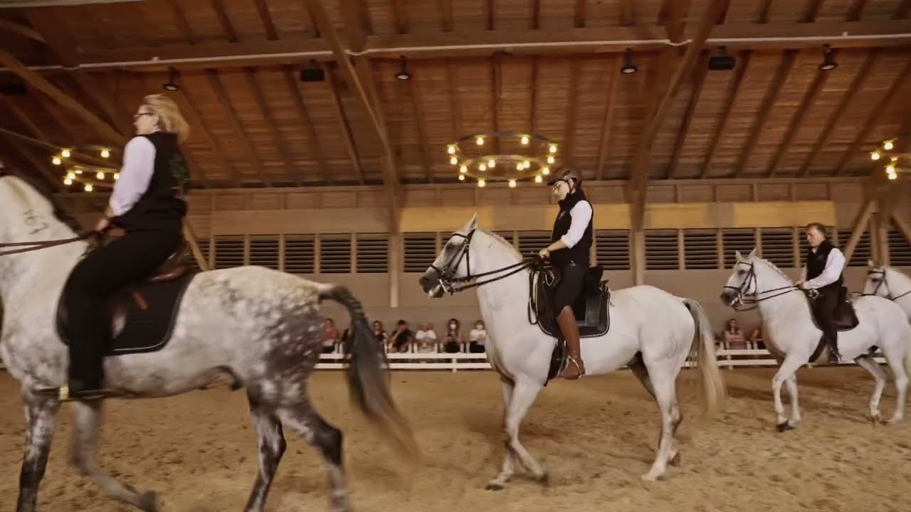 Marty Stables meets Oliveira Stables: 05 Unterricht durch Manuel Jorge de Oliveira