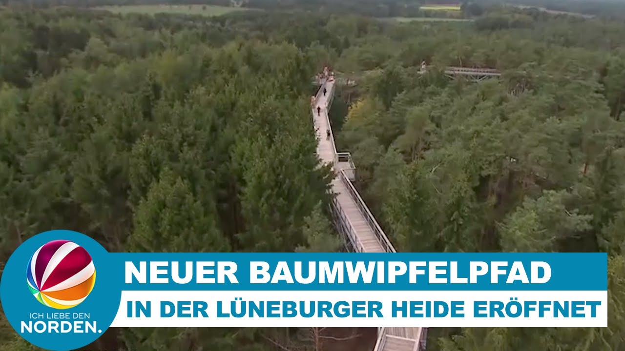 Heide-Himmel: Neuer Baumwipfelpfad in der Lüneburger Heide eröffnet
