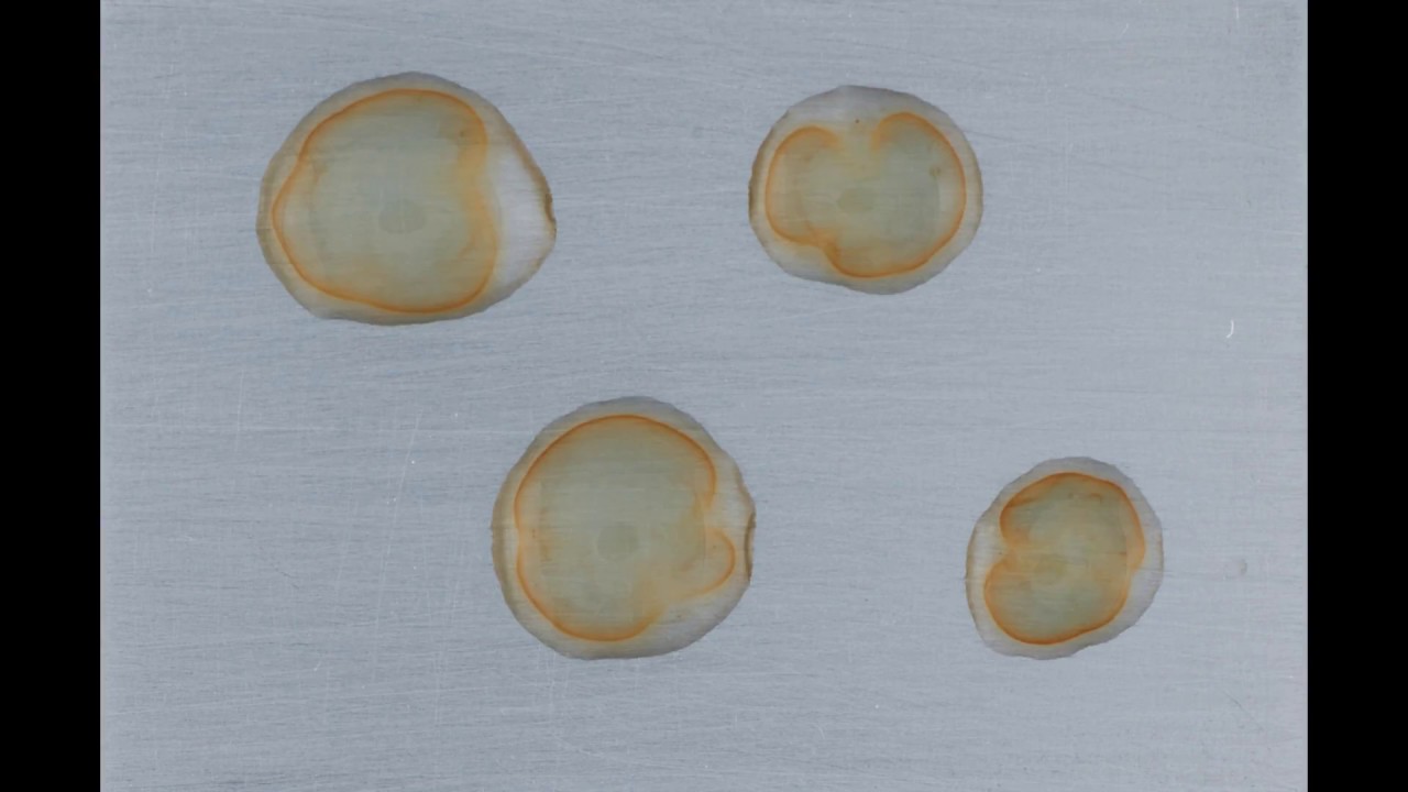 Flash Rusting of Four Water Drops on Iron