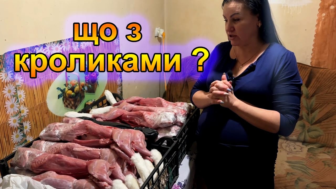 Розпродаж кролів на плем'я, м'ясо. Продаж кролячої тушонки