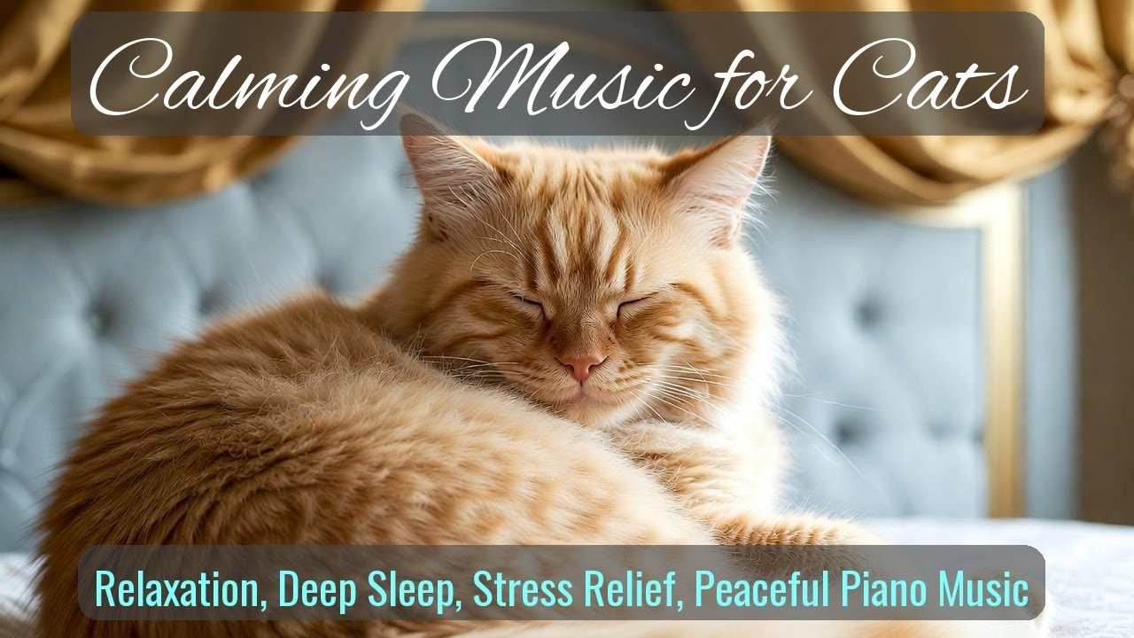 Calming Music for Cats - Relaxation, Deep Sleep, Stress Relief, Peaceful Piano Music | Season 36