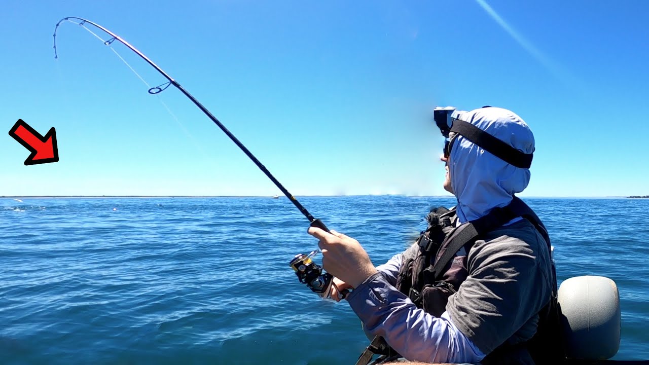 Fish Feeding EVERYWHERE at This Spot!!