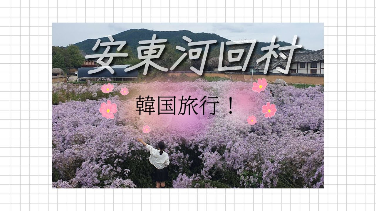 韓国vlog_安東河回村! 韓国旅行~안동하회마을!
