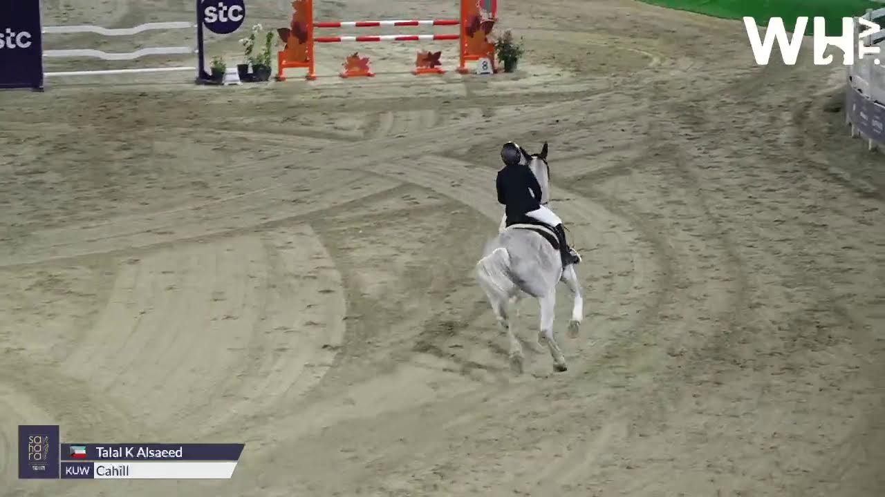 CSI2* CSI1* SAHARA  INTERNATIONAL SHOW DAY 2