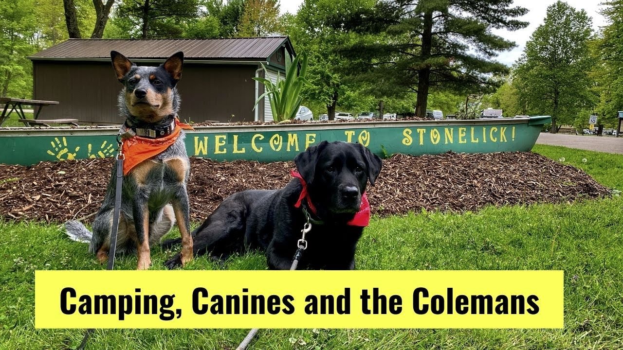 Stonelick State Park / Ohio State Parks / Disc Golf/ Cruisin' with the Colemans