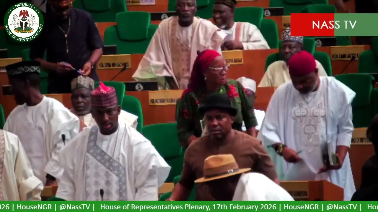 ELECTORAL BILL: Pandemonium in House Chamber over bill