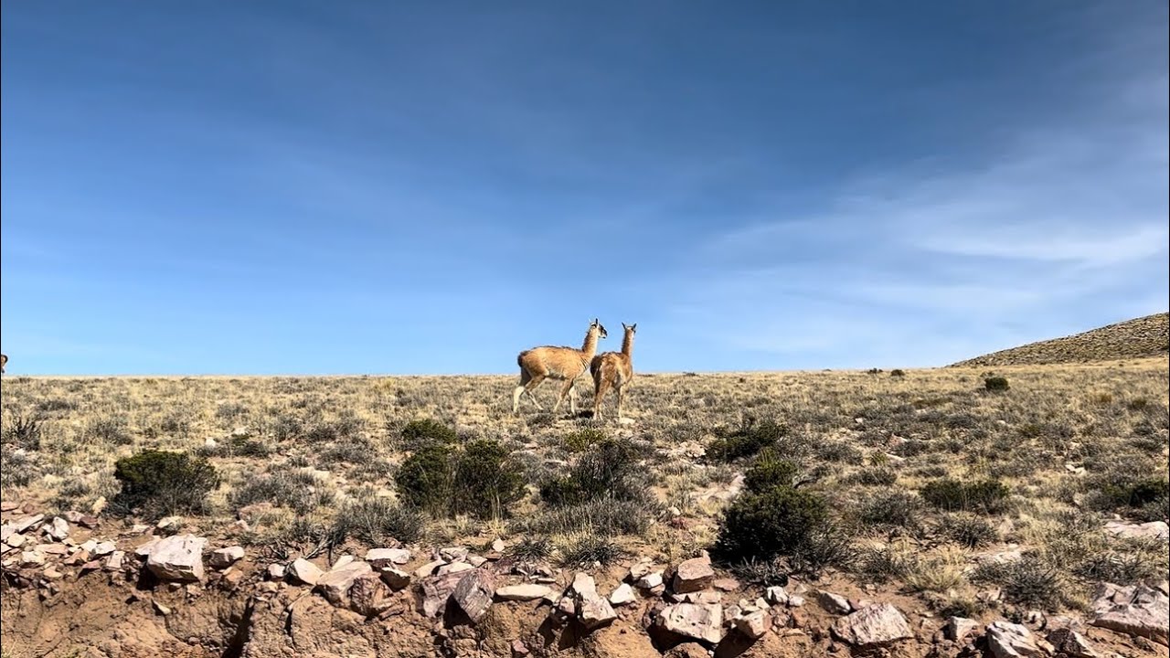 Viaje Jujuy.