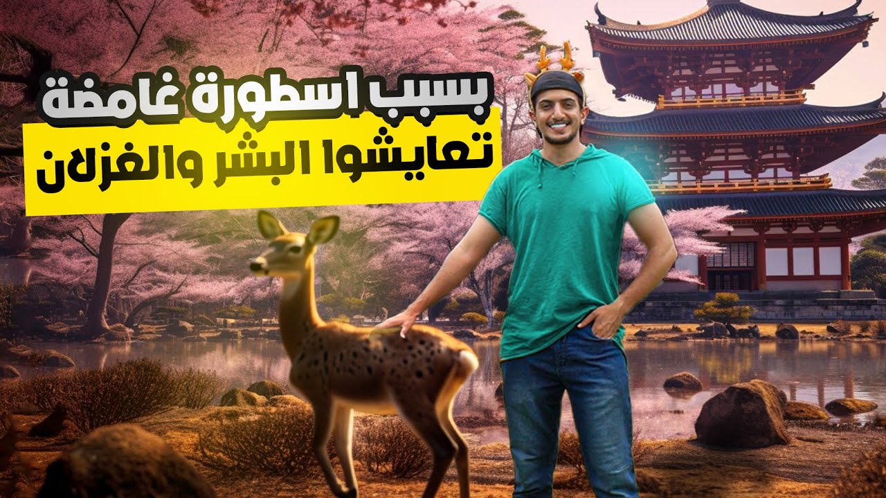 سمعت عن عاصمة اليابان القديمة والغزلان المقدسة؟ - Exploring Nara Japan