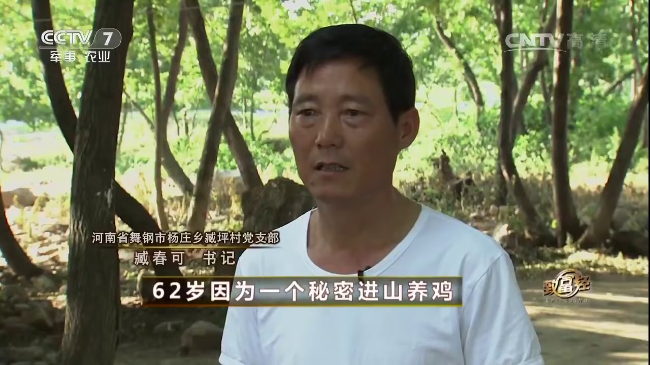 20160727 致富经  62岁因为一个秘密进山养鸡
