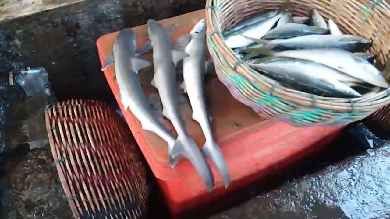 Traditional Fish Market