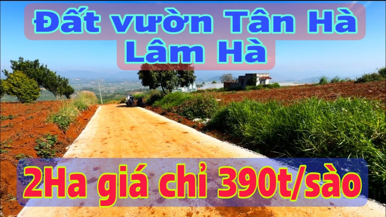 2 héc đất vườn Tân Hà Lâm Hà vùng ven Đà Lạt chỉ 390t/sào (1000m2)