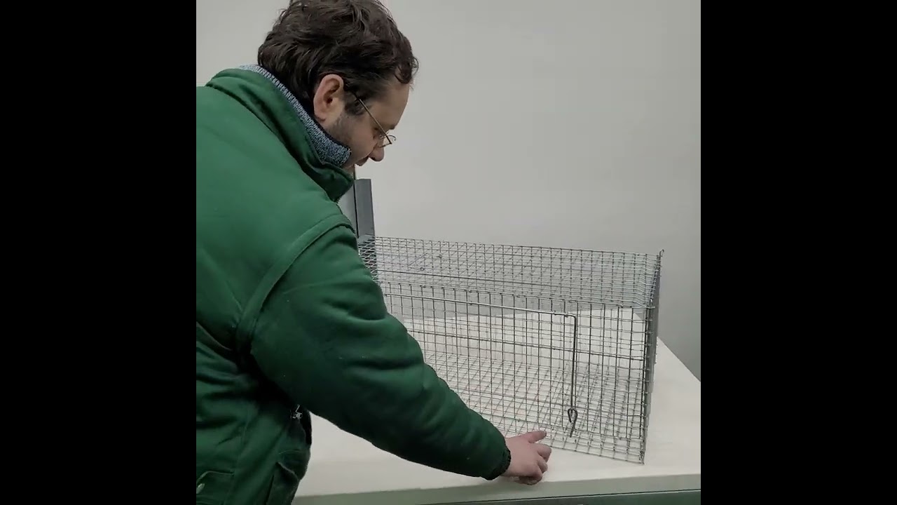 Gabbia per cattura volpi e predatori