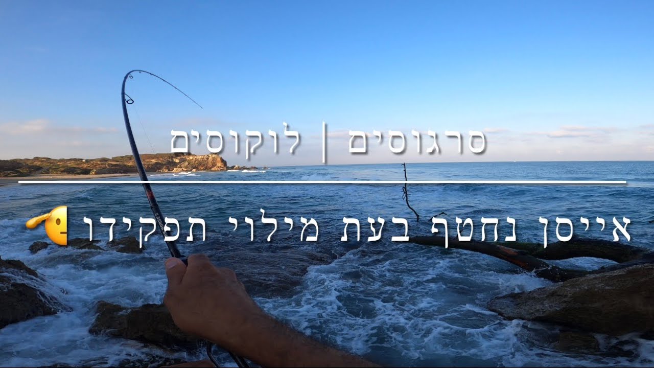 דייג - סרגוסים חמורים ולוקוסים אגרסיבים במיוחד | Issen 45s נחטפו בעת מילוי תפקידם 2022.