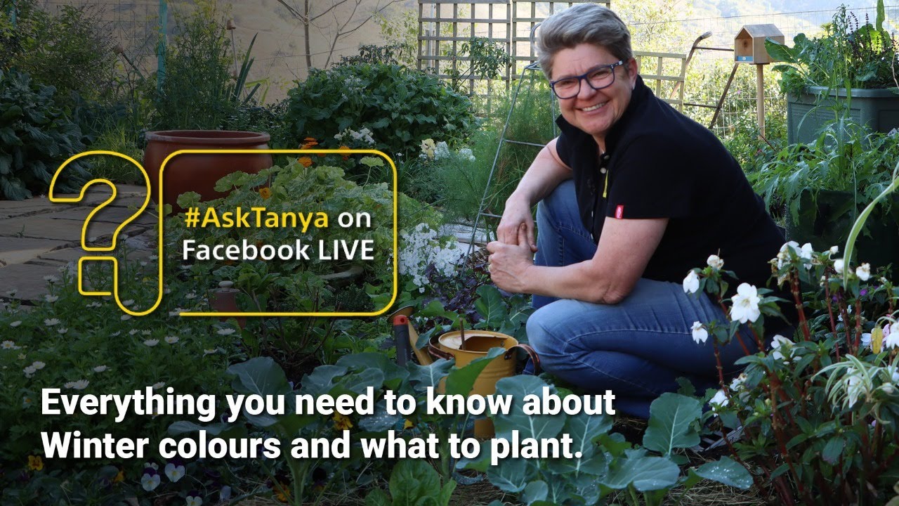 Winter Gardening LIVE with Tanya Visser