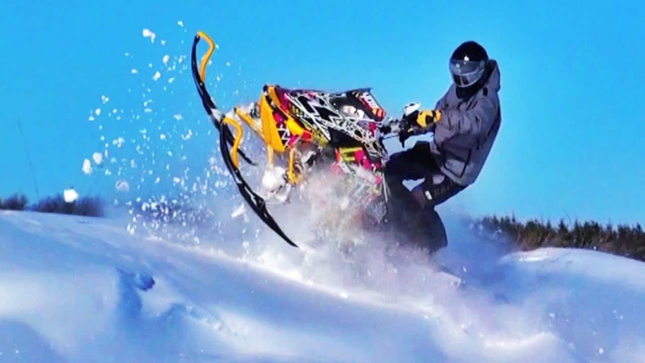 BRAAAP! TREE!